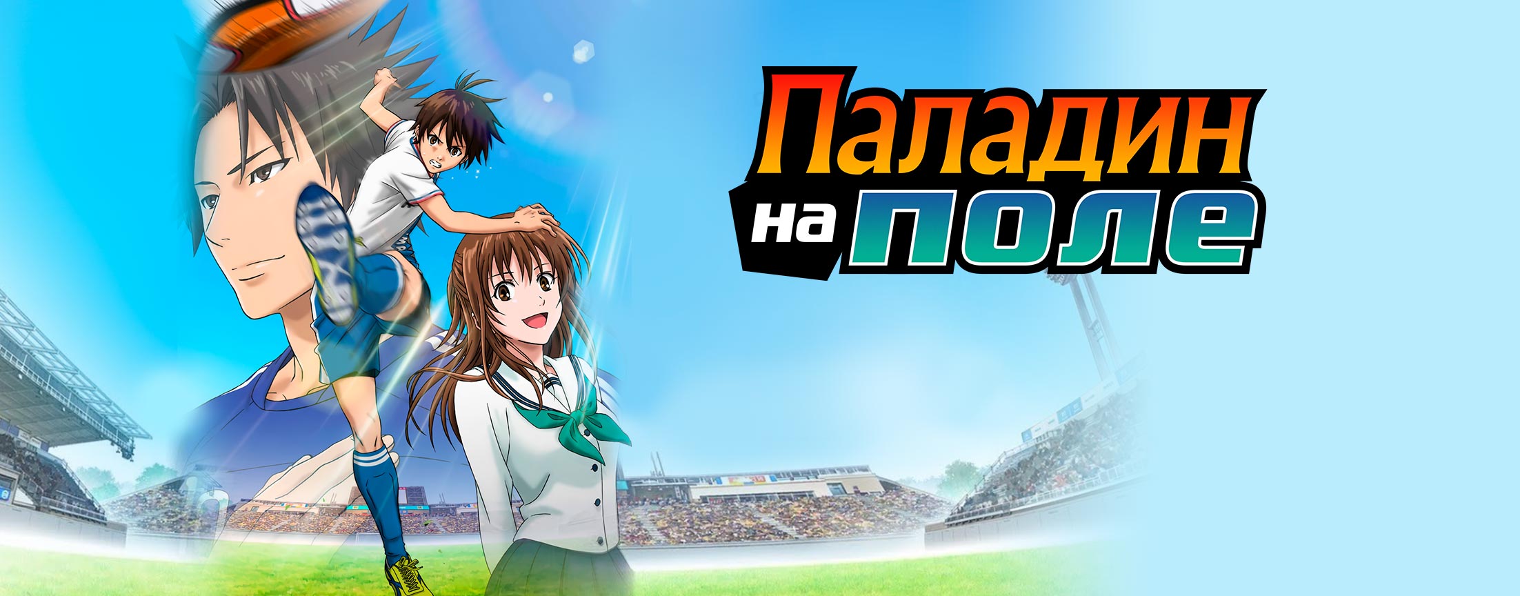 Паладин на поле