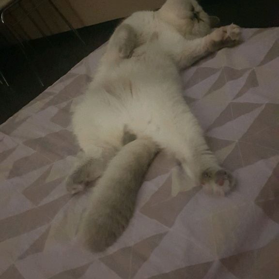 Иконка канала Vini & Platon Stories