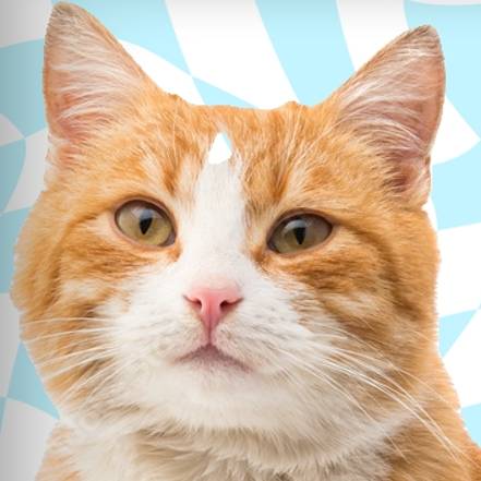 Иконка канала Кокорина Наталья