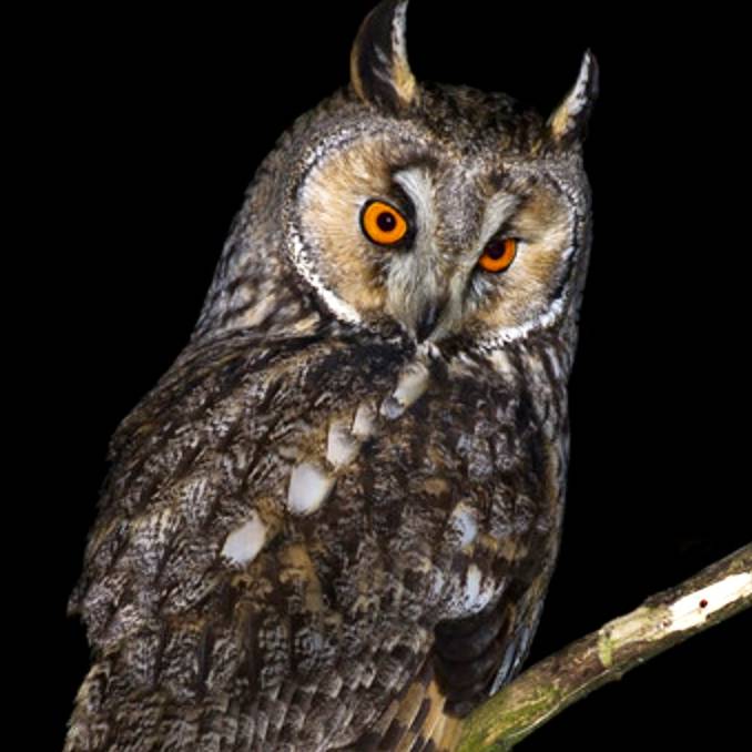 Иконка канала НЕ ПОЛЕ ПЕРЕЙТИ