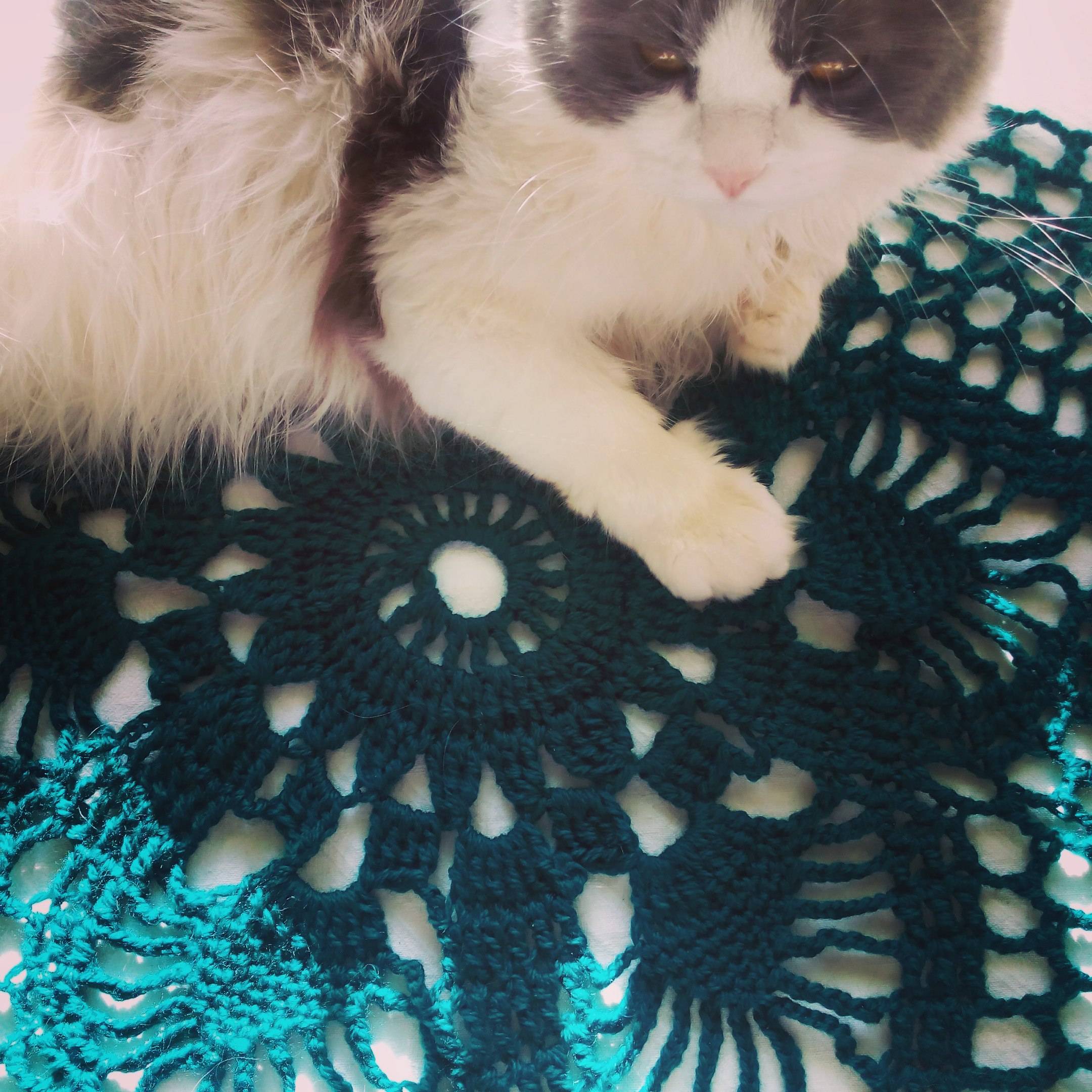 Иконка канала Татьяна Толмачёва