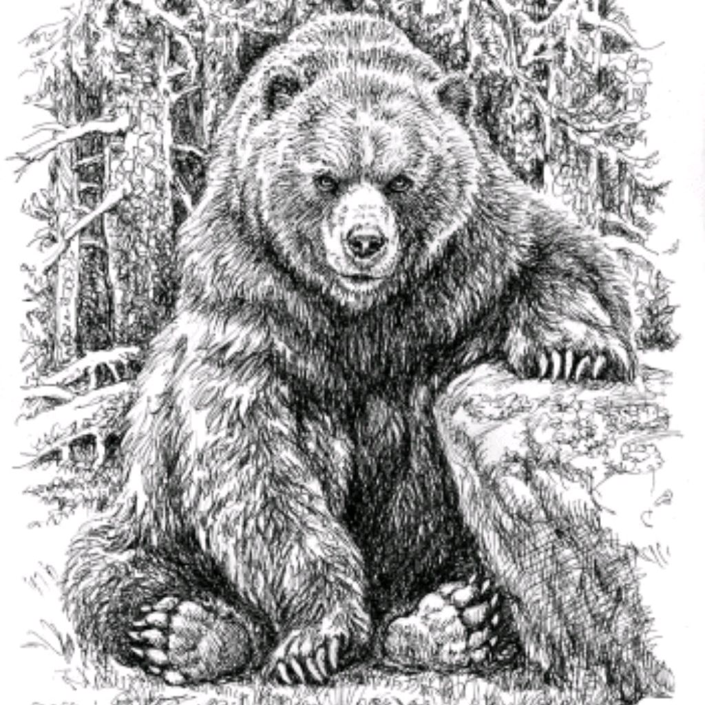 Иконка канала Медвежий Угол АК - 29