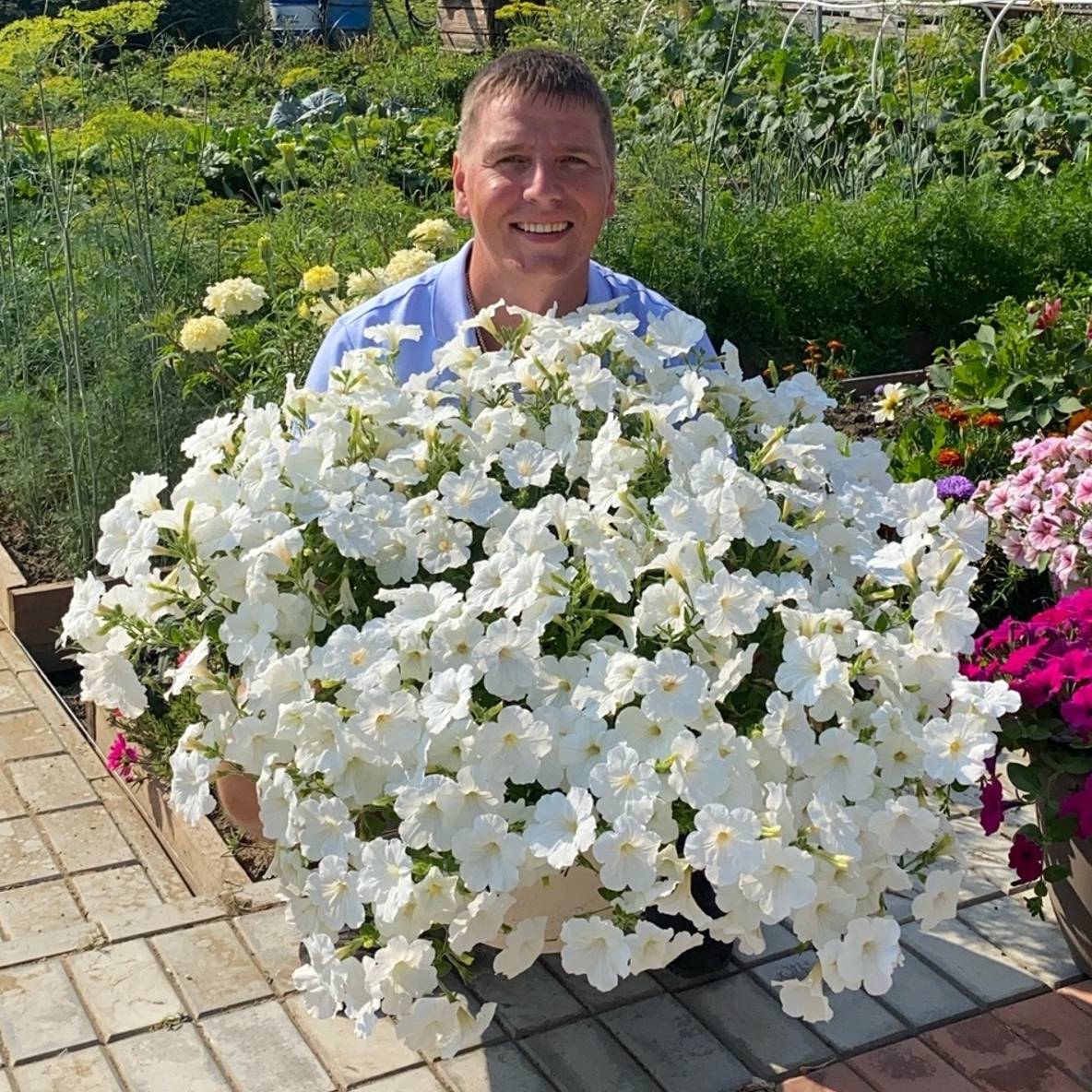 Иконка канала Владимир Свичеревский. Огородкруглыйгод