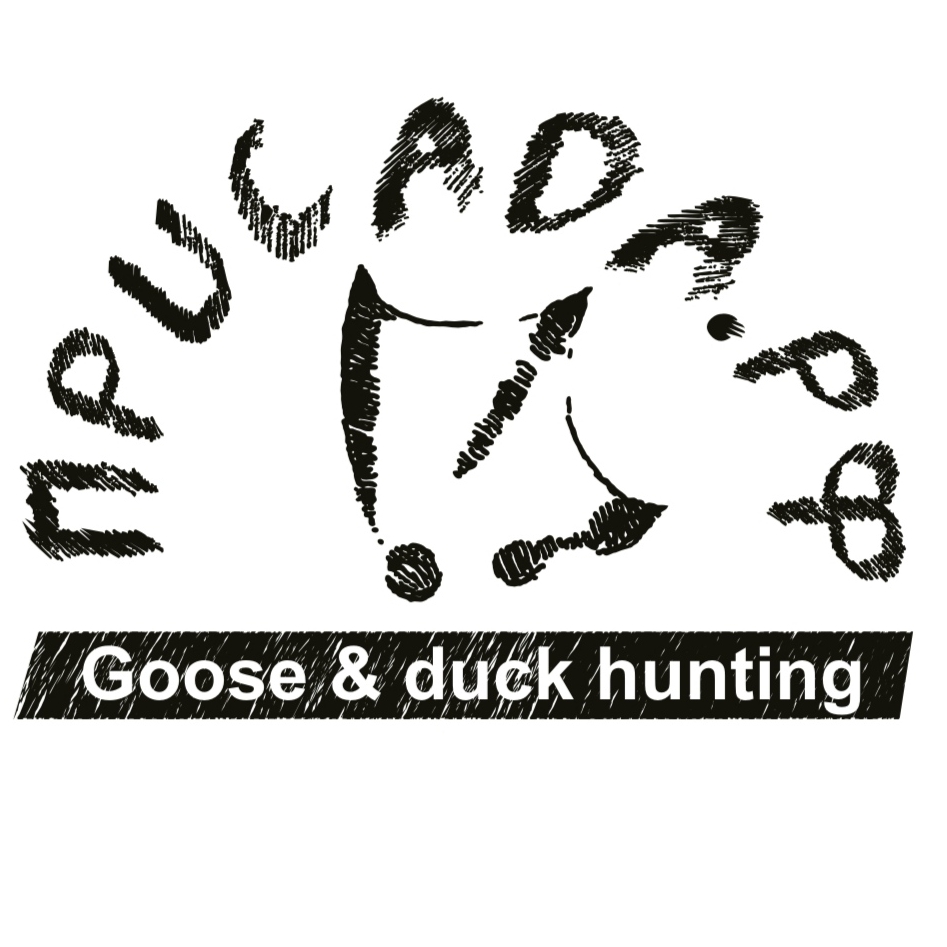 Иконка канала ПРИСАДА.РФ