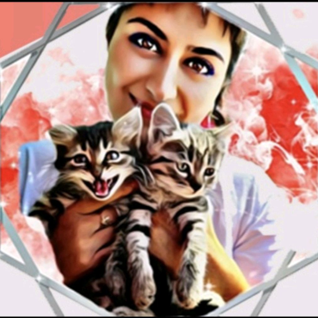 Четвероногие Друзья