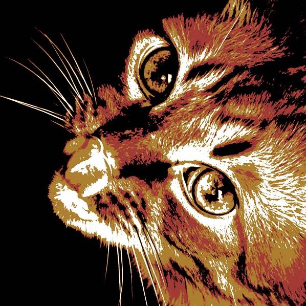 Иконка канала Pink Nipple