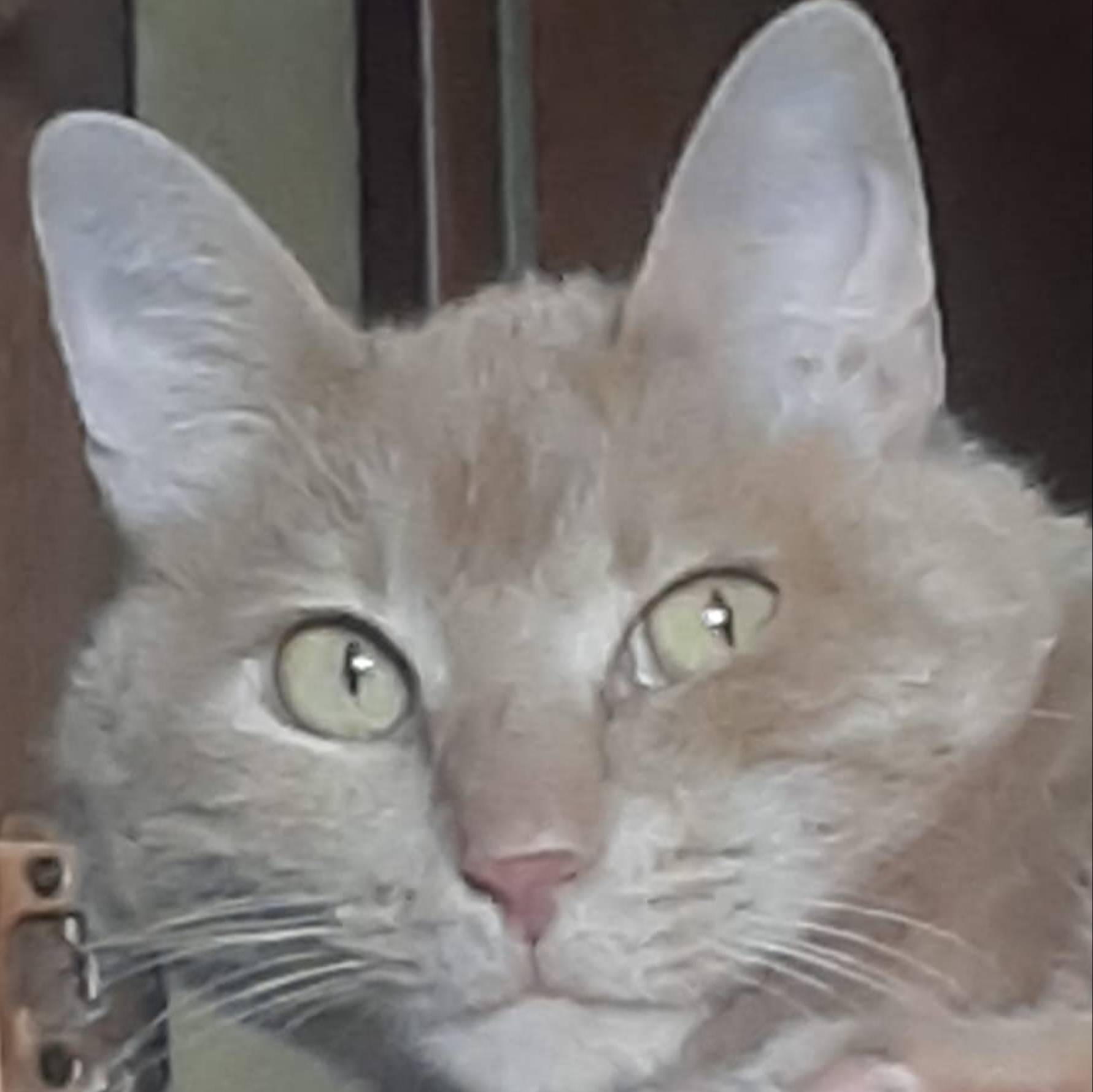 Иконка канала Илья