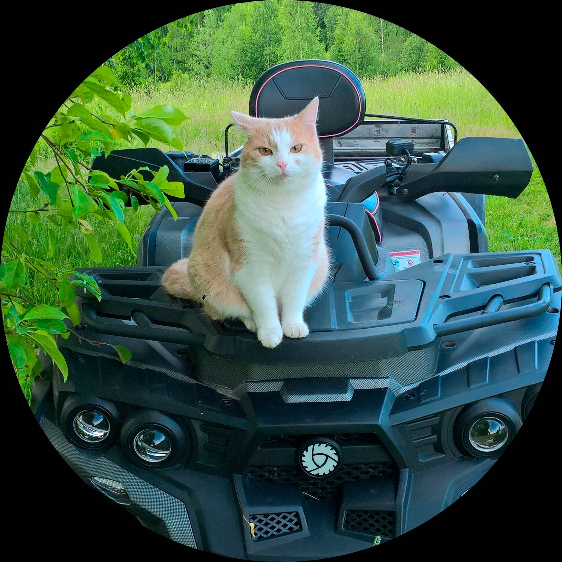 Иконка канала Участок Солнечная ягода