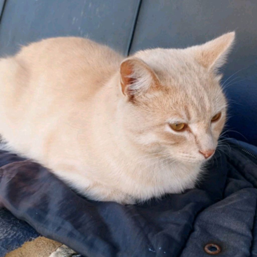 Иконка канала молния554⚡