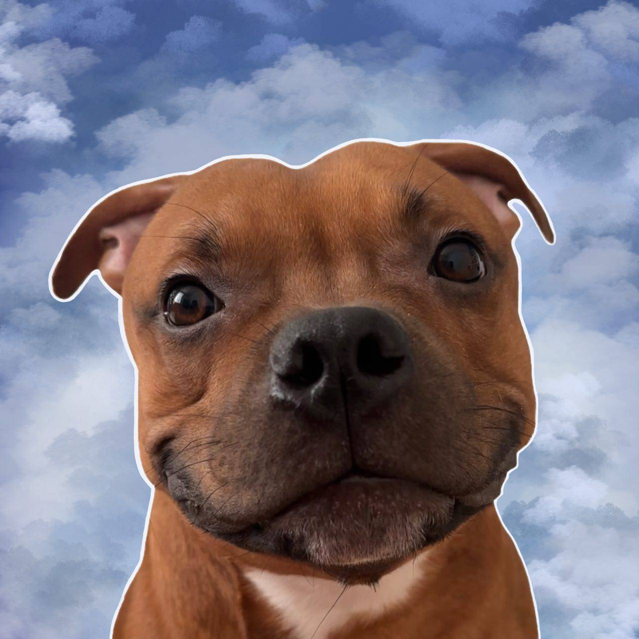 Иконка канала burbon_c_baikala