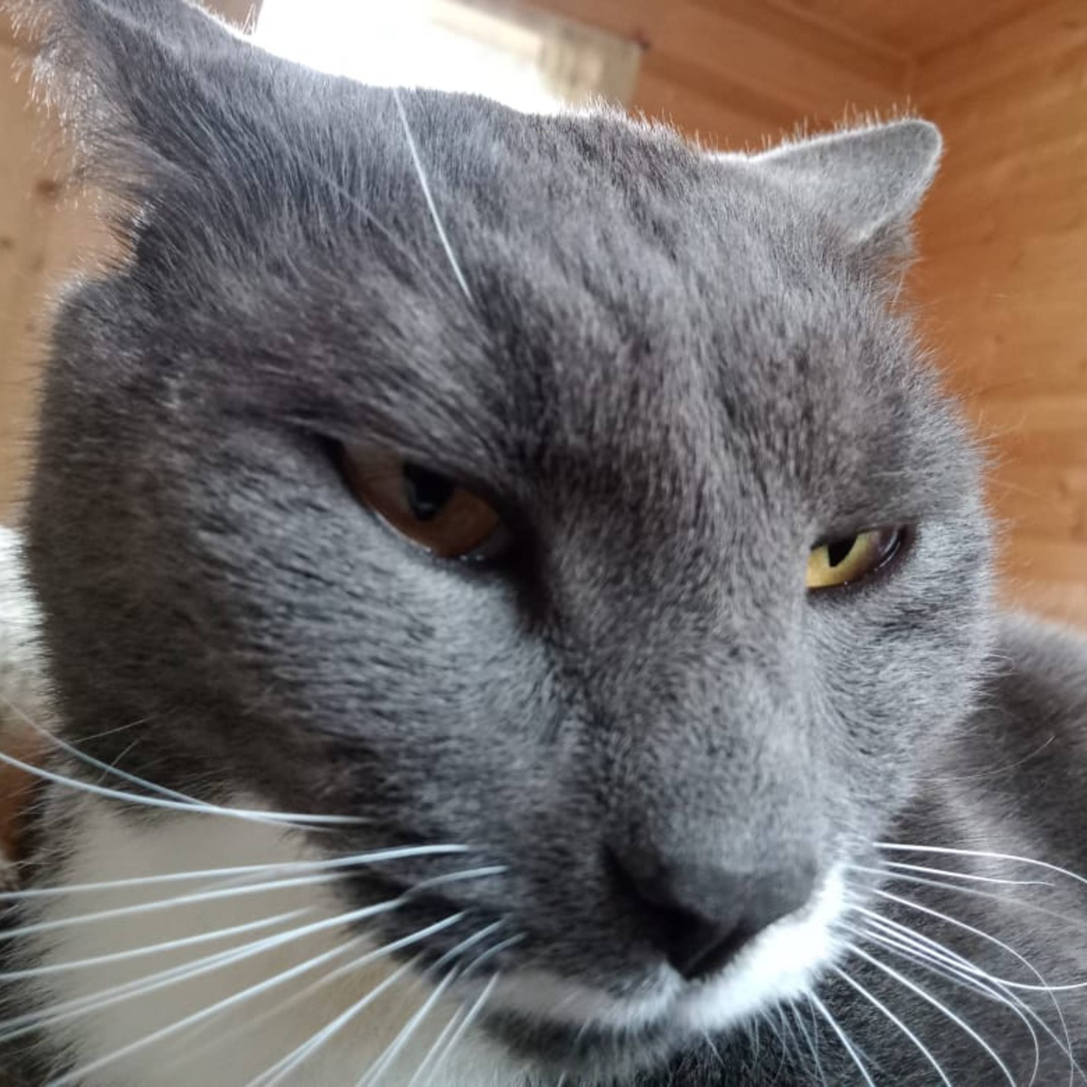 Иконка канала Астральное здоровье