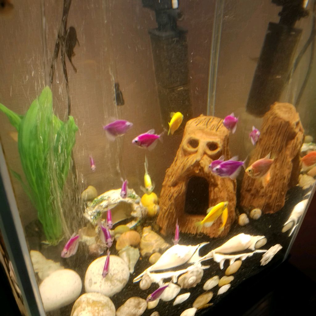 Иконка канала Рыбинские рыбки