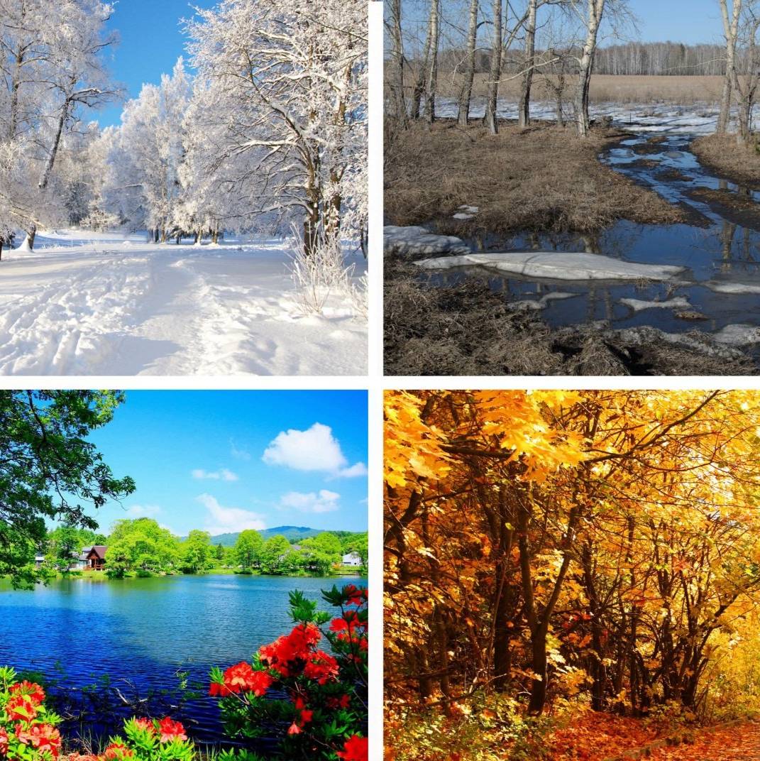 Иконка канала Времена года.