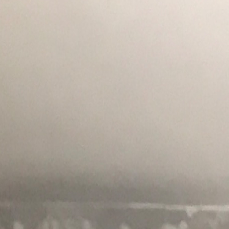 Иконка канала С4 На Рутубе