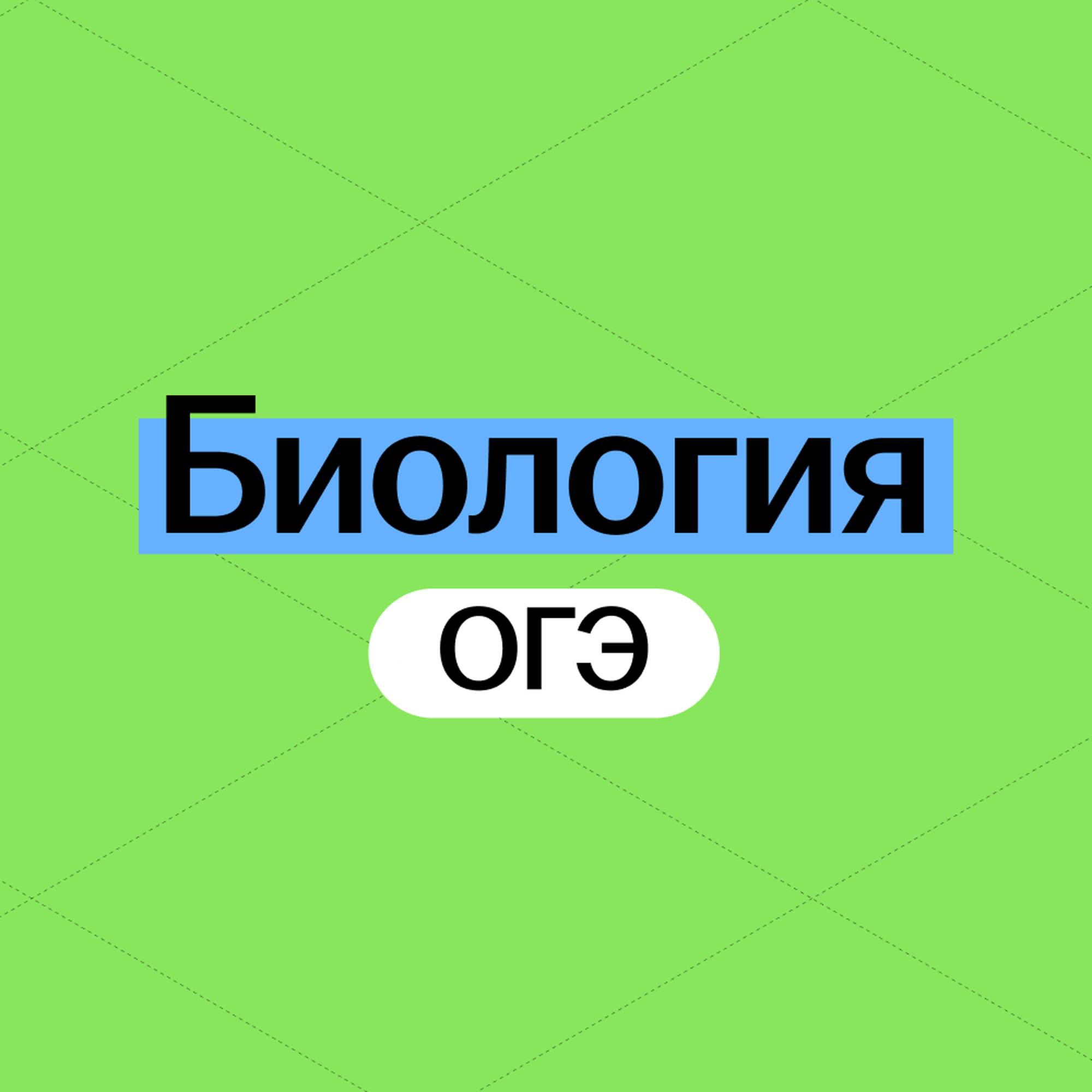 Иконка канала Биология ОГЭ 2026 Умскул