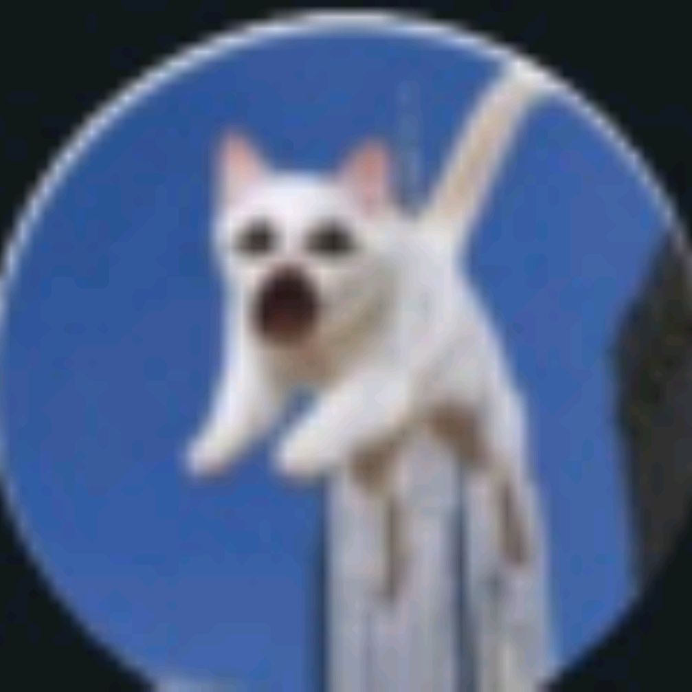 Иконка канала Кото плей