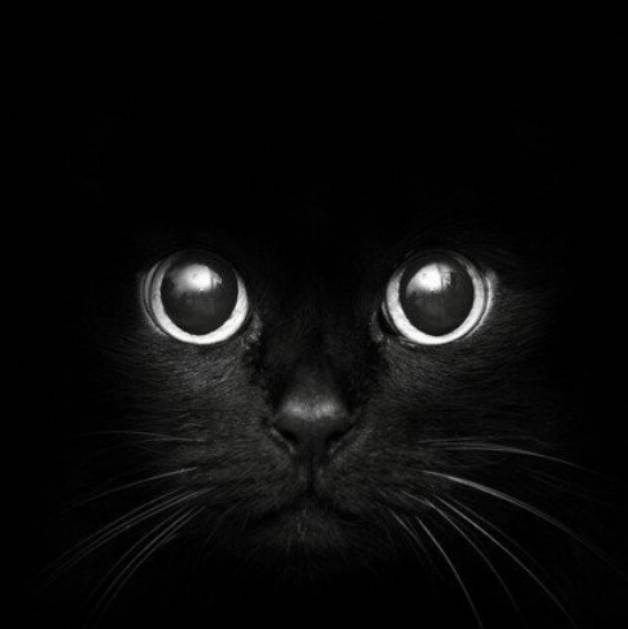 Иконка канала Andercover