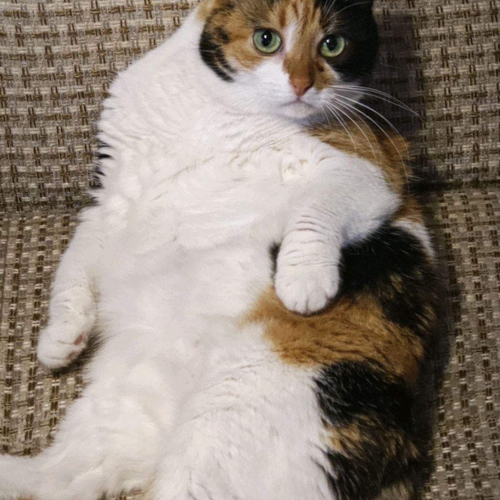 Иконка канала K.E.V. 152