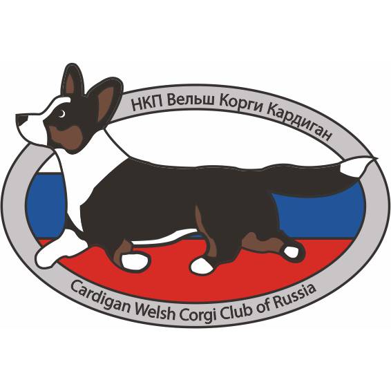 Иконка канала НКП Вельш корги кардиган