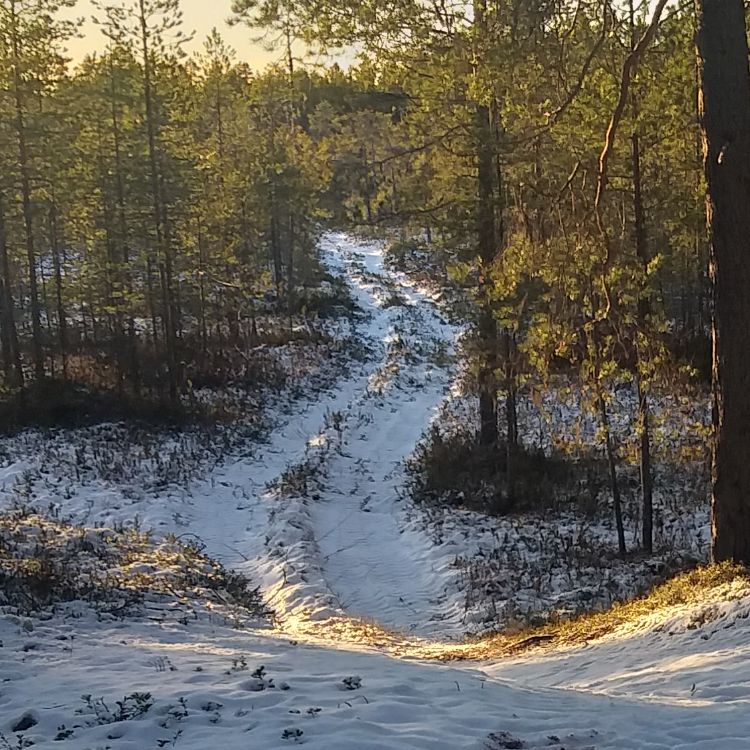 Иконка канала cever29