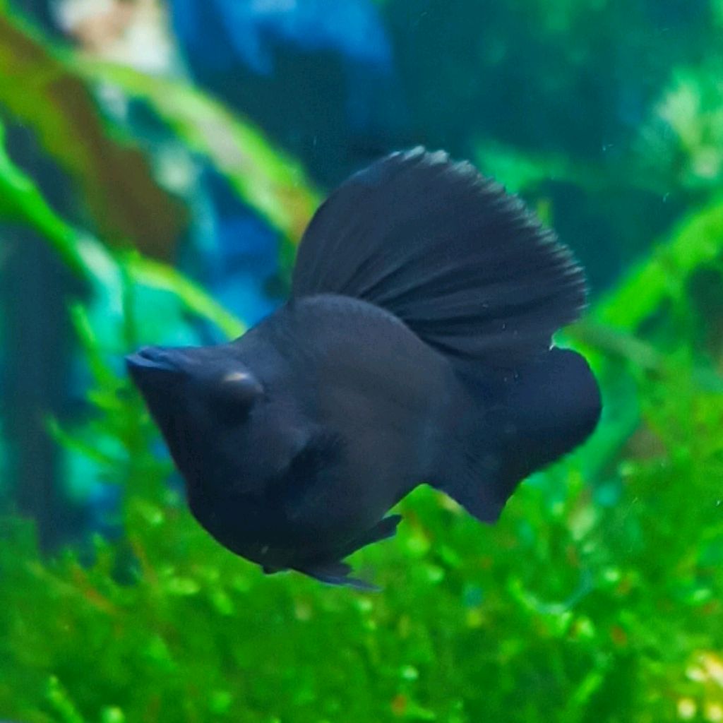 Иконка канала Аквамарина 2024