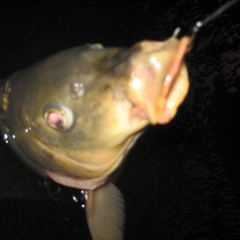 Иконка канала VASYA_DAVYDOV_FISHING