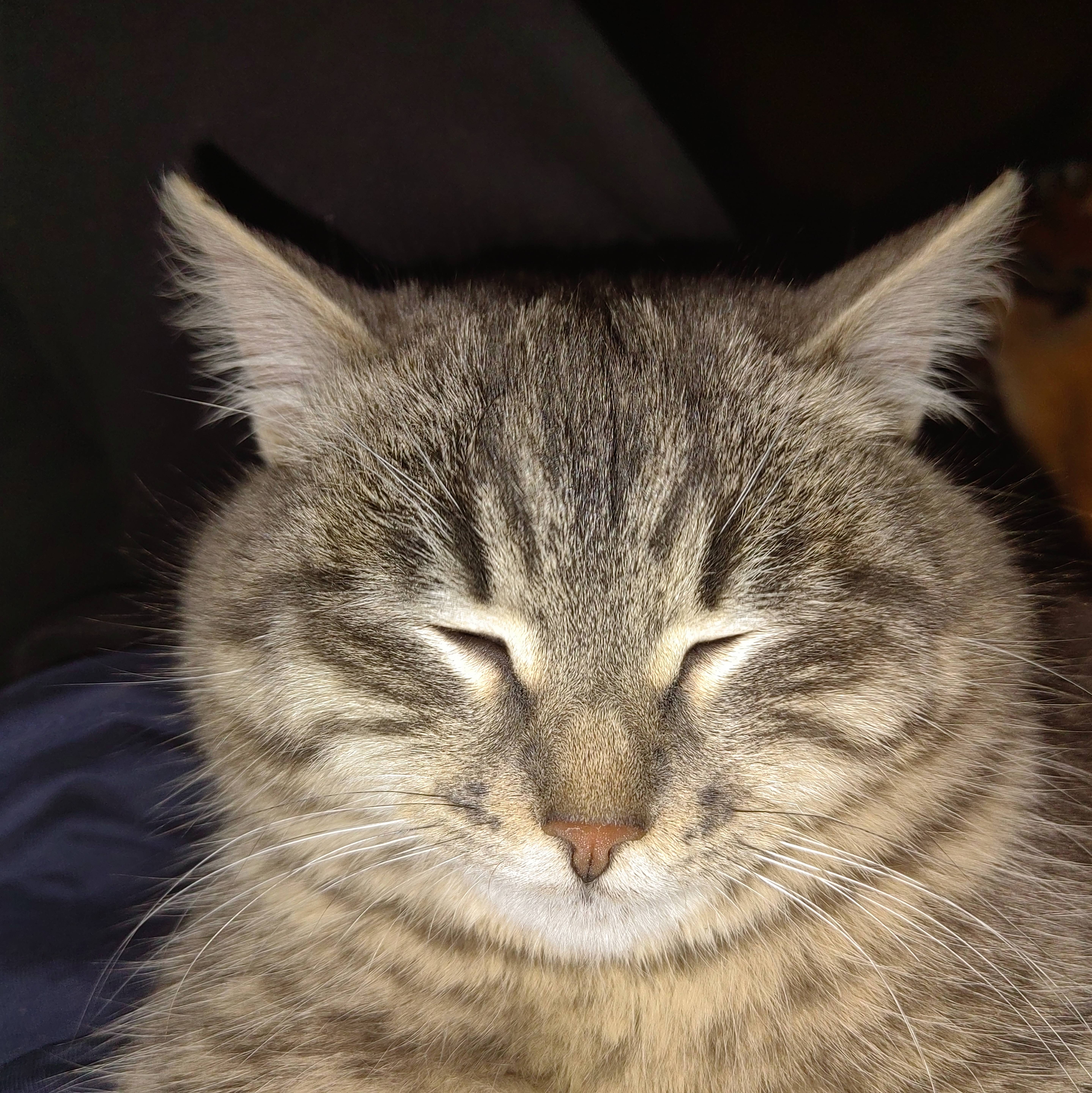 Иконка канала channel79