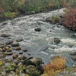 Иконка канала Не сиди дома