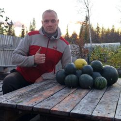 Иконка канала ДАЧА В ХИБИНАХ