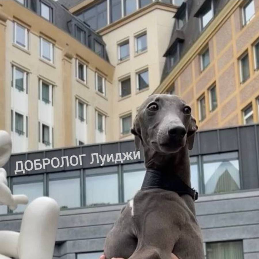 Иконка канала Твой друг Луиджи