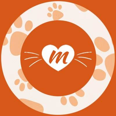 Иконка канала Приют  кота Тихона