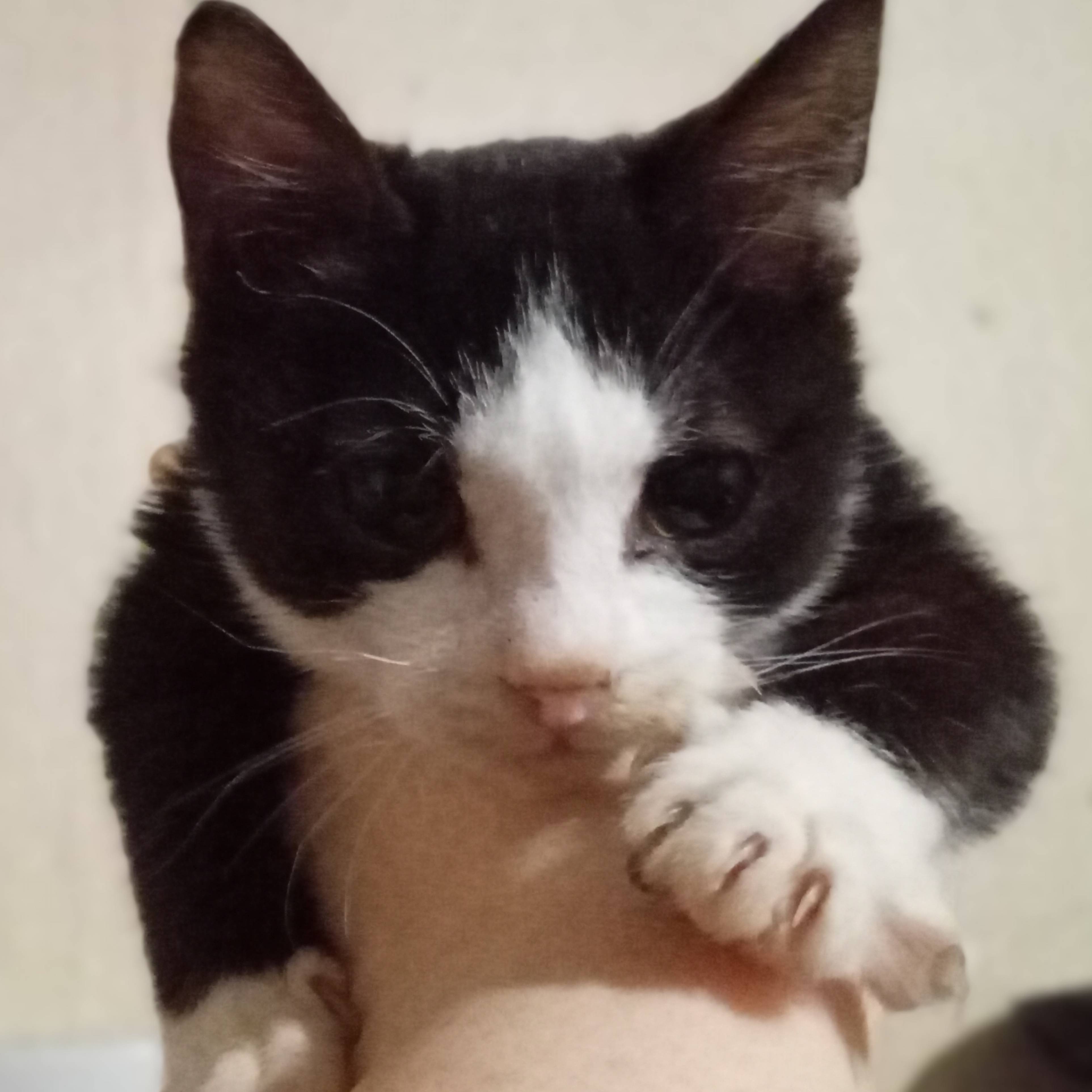 Иконка канала Неонкины рукоделки