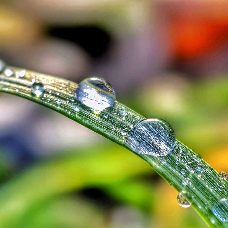 Иконка канала Просто про природу