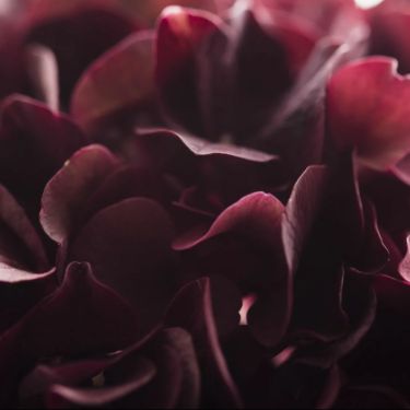 Иконка канала Таня