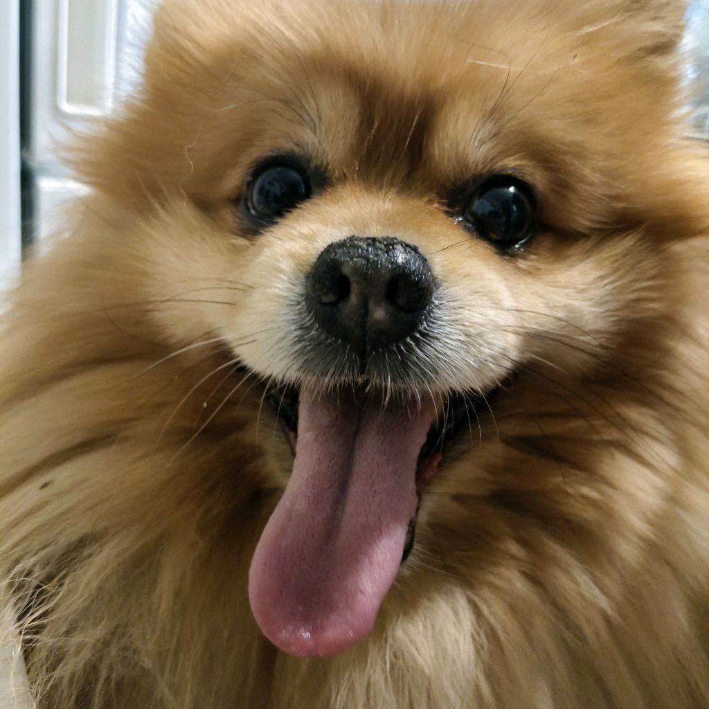 Иконка канала Музыка для сна