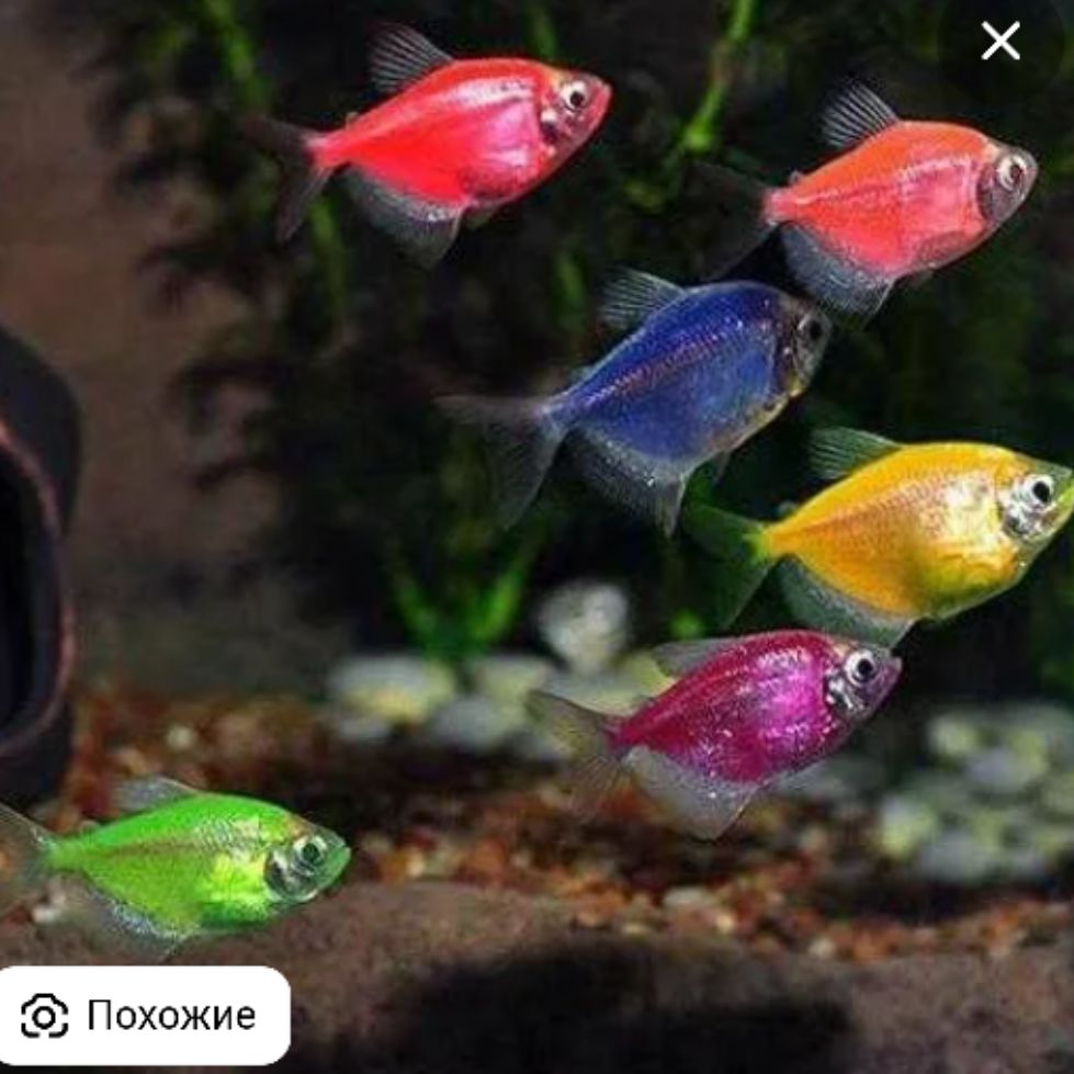 Иконка канала А ну-ка познаю мир 🍉