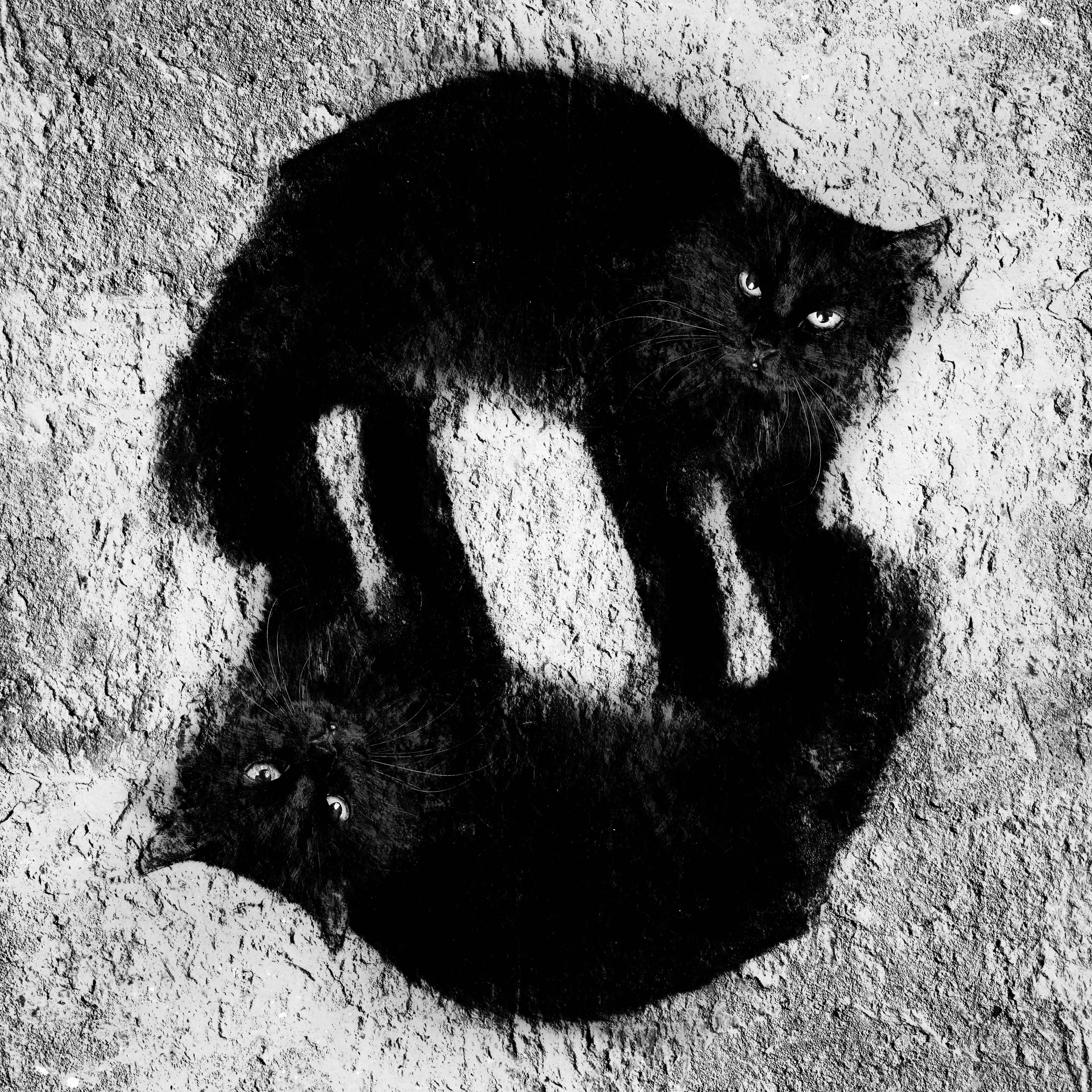 Иконка канала Garden Modern