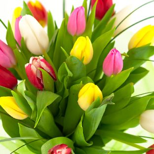 Иконка канала Ольга Сафинрейдер