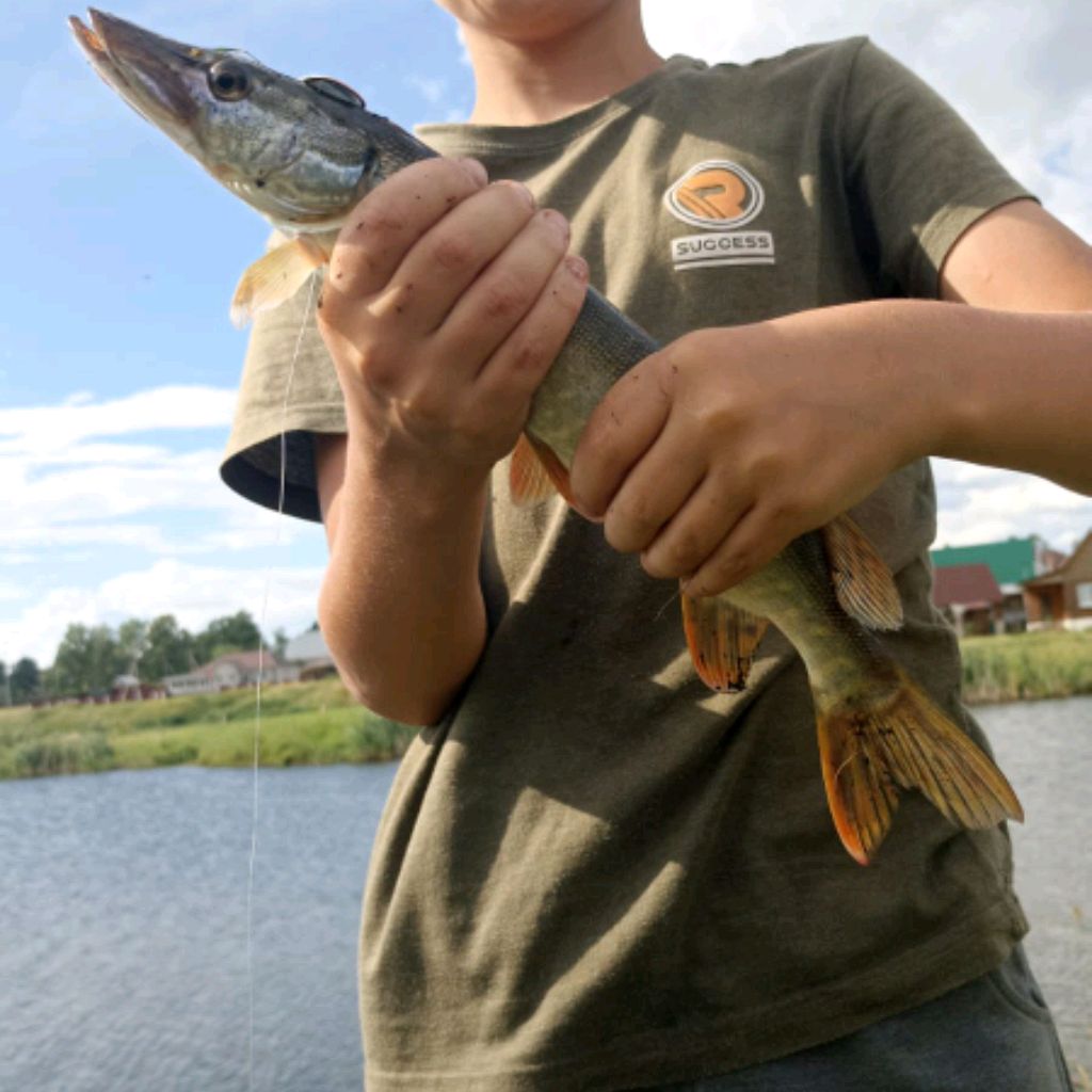 Иконка канала Рыбак Андрей