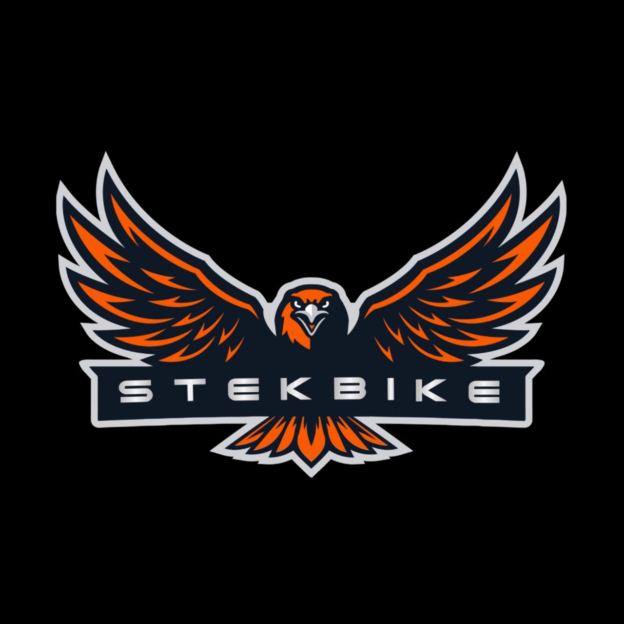 Иконка канала StekBike