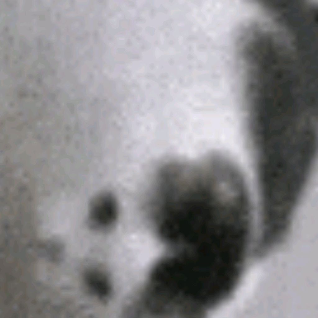 Иконка канала Кот пельмень 228