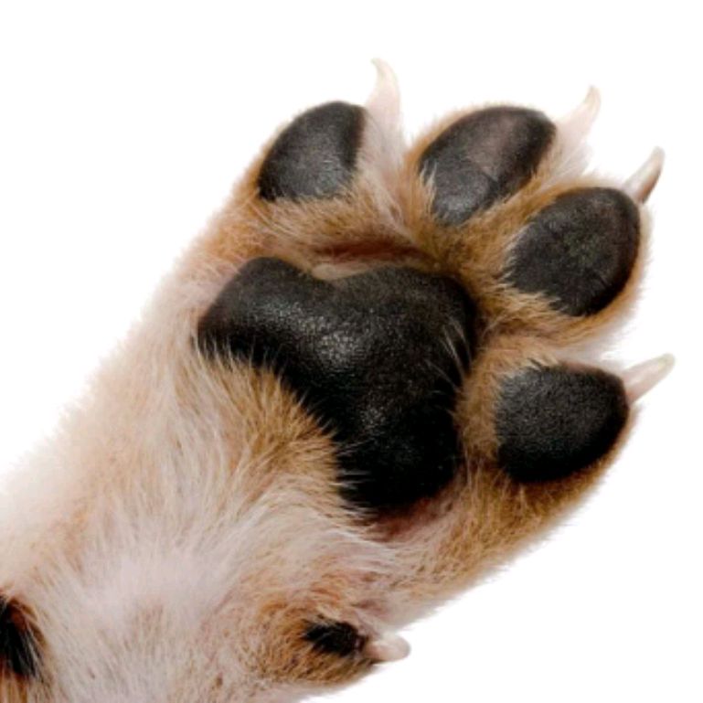 Иконка канала ГОТОВИМ ДОМА