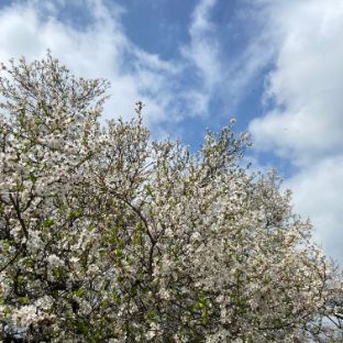 Иконка канала channel59404692