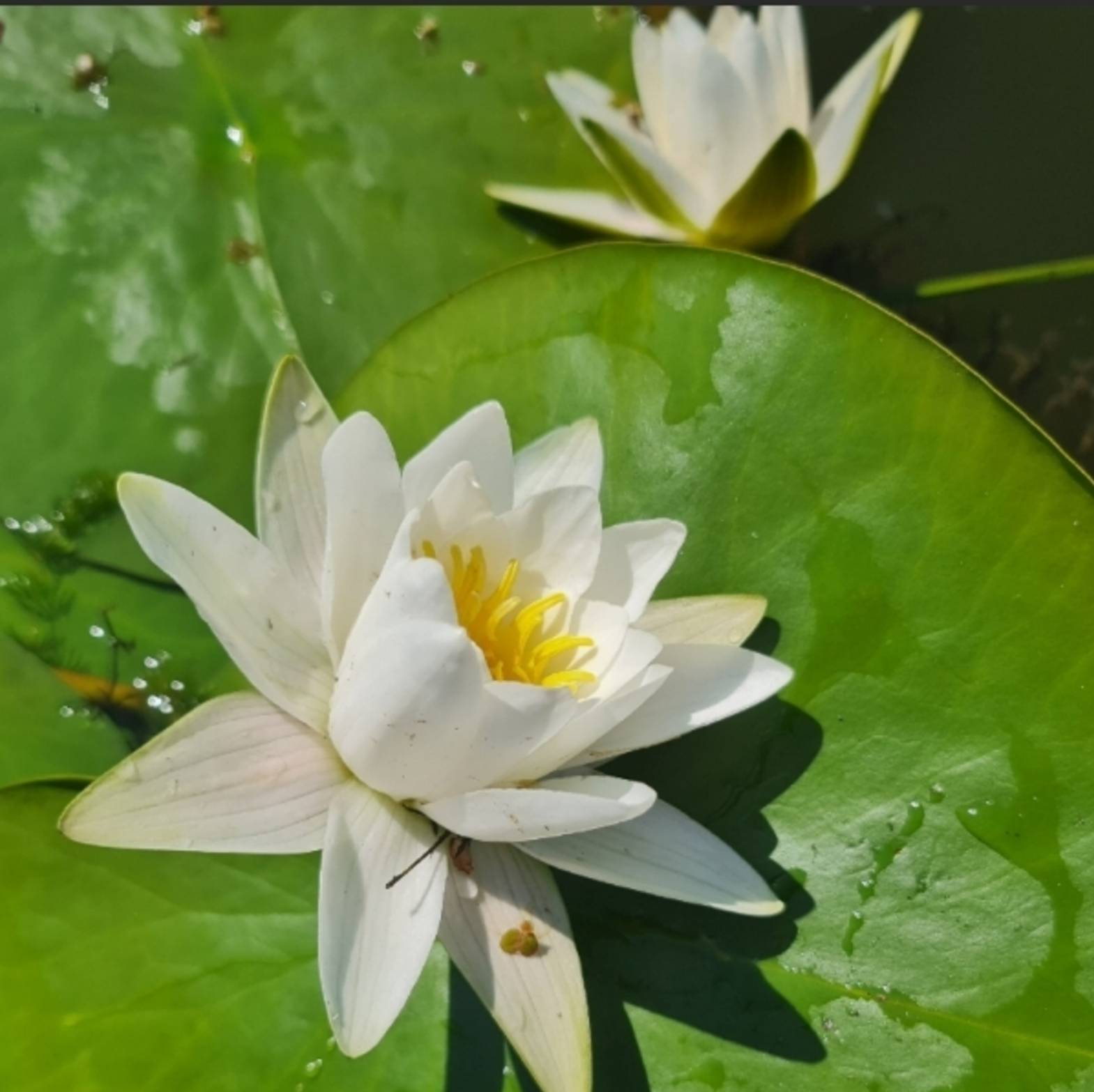 Иконка канала Волга-RA72 Жизнь Путешествие