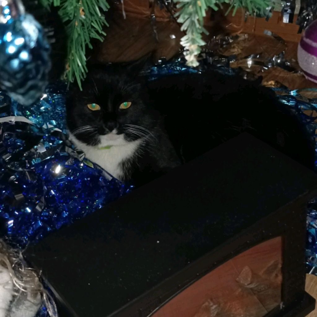 Иконка канала Тëма Кальт