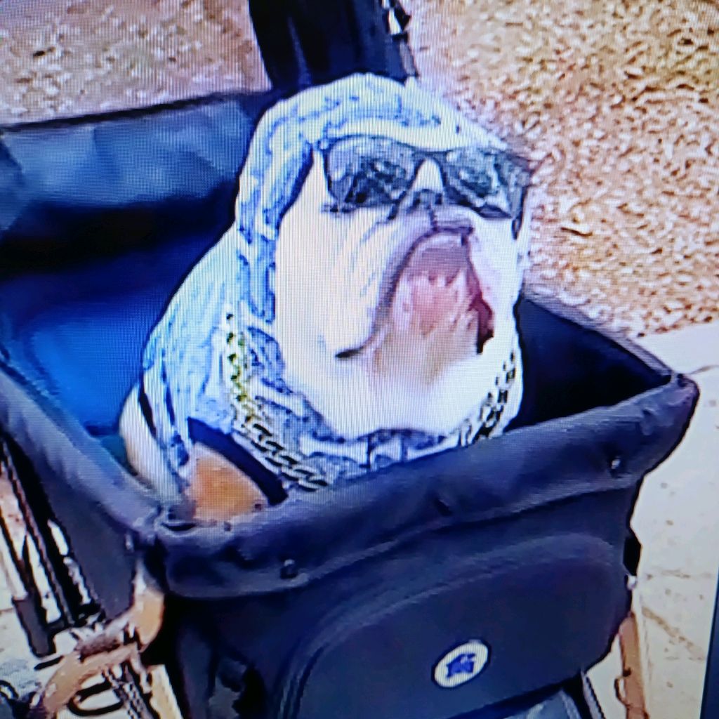 Иконка канала SANYA