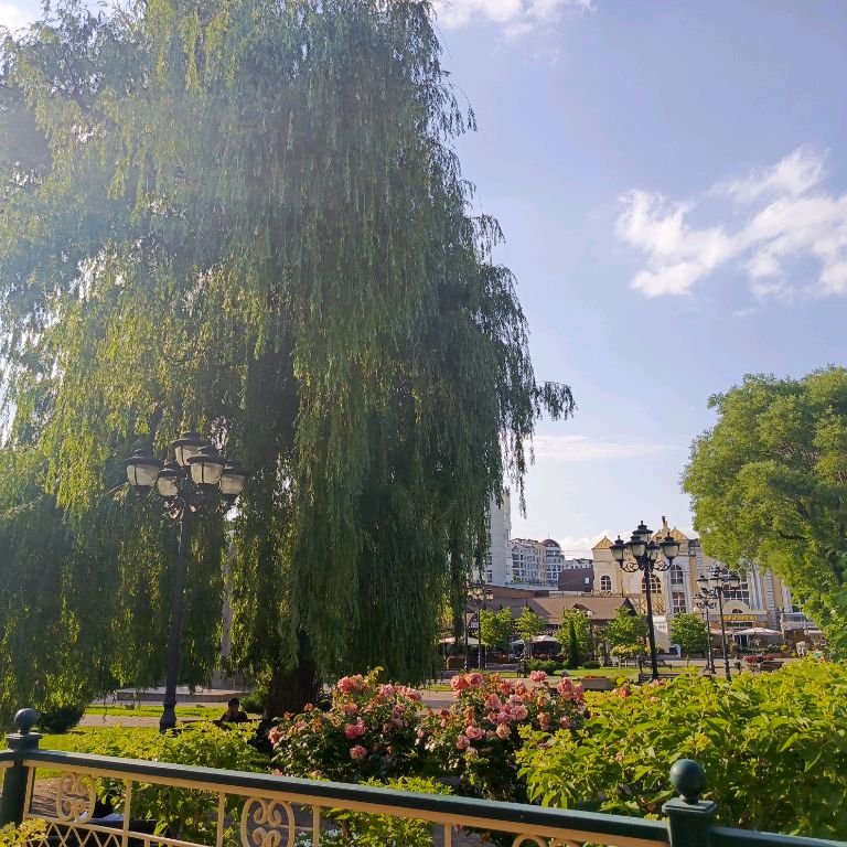 Иконка канала ОльгаМ.Кисловодск