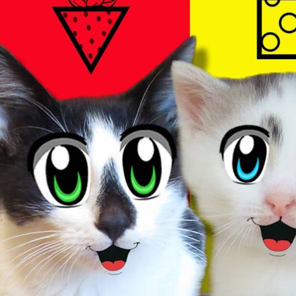 Иконка канала Пушистая Банда ☑️