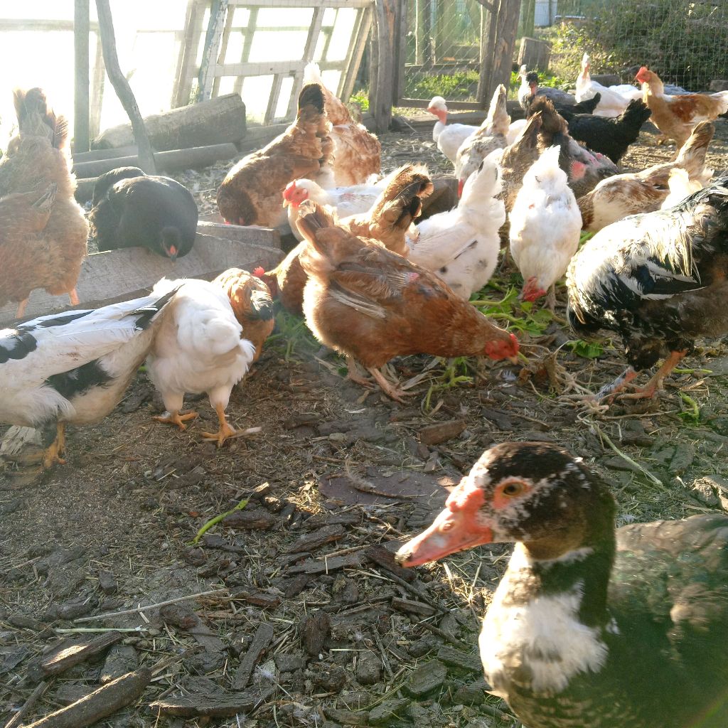 Иконка канала АЛЕКСЕЙ RUS