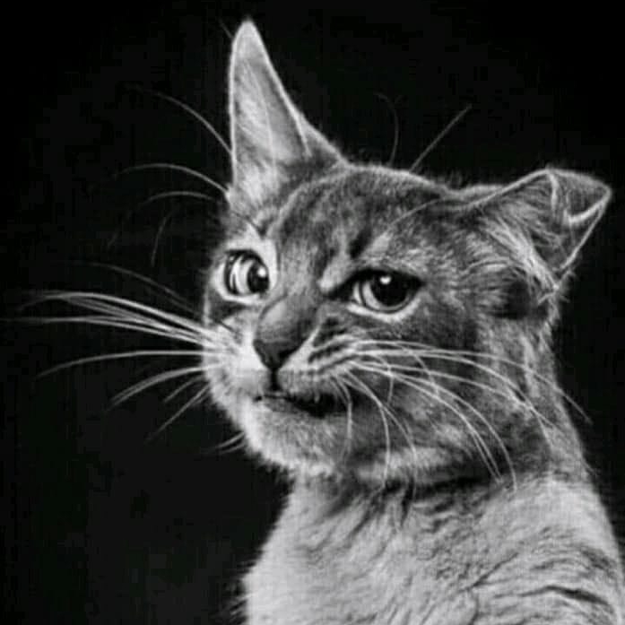 Иконка канала МУЗЫКАНТА ДЛЯ